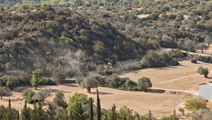 Büyükkonuk’ta çevre katliamı