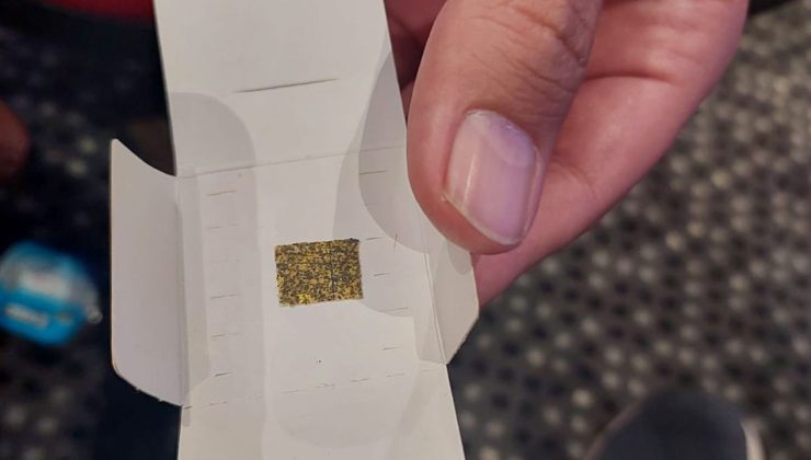 Prof. Dr. Özkan: “Faydalı böceklerle zararlı mücadelesinde başarı yüzde 50-100 arası”