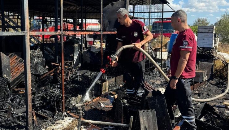 Arı kovanları yandı