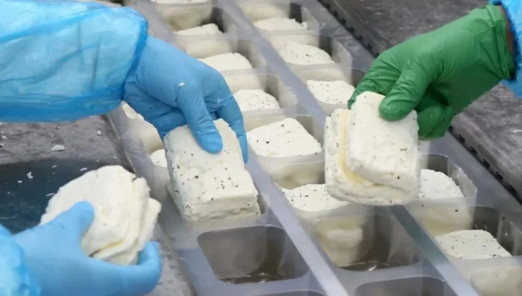 KKTC’de üretilen hellim Yeşil Hattan geçemiyor