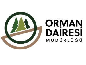 Orman Dairesi: Boğazköy’deki ağaç kesimi izinsiz yapıldı