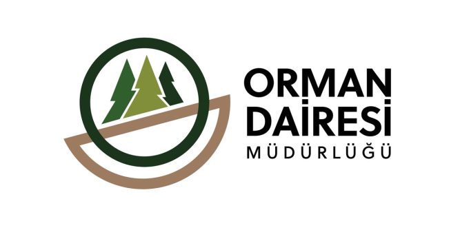 Orman Dairesi: Boğazköy’deki ağaç kesimi izinsiz yapıldı