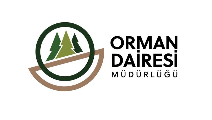 Orman Dairesi: Boğazköy’deki ağaç kesimi izinsiz yapıldı