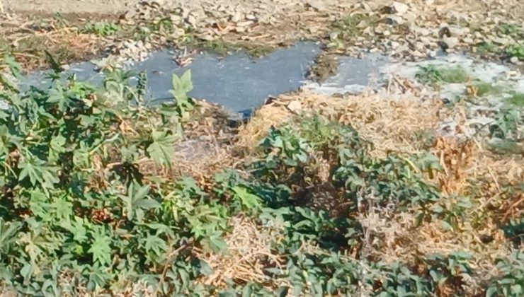 Lefke Çevre ve Ekoloji Derneği Gemikonağı Deresi ile ilgili açıklama yaptı