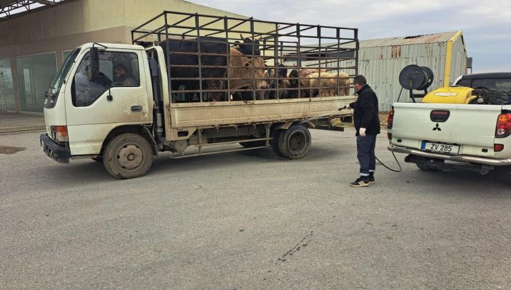 LTB, şap hastalığına karşı tüm tedbirleri hayata geçiriyor