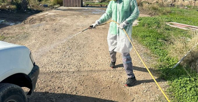 Çatalköy-Esentepe Belediyesi’nden şap hastalığına karşı üst düzey önlem