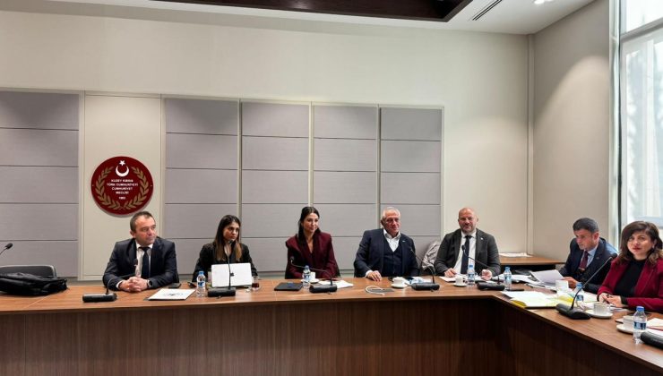 Komite, Mahkemeler (Değişiklik) Yasa Tasarısı’nı masaya yatırdı