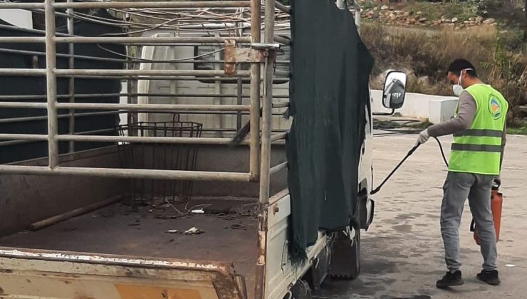 Erenköy-Karpaz Belediyesi, şap hastalığına karşı önleyici tedbirleri hayata geçirdi