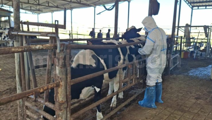 Aşılama için 30 ekip sahada