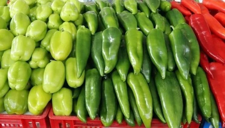 Dört yerli üründe limitüstü kalıntı