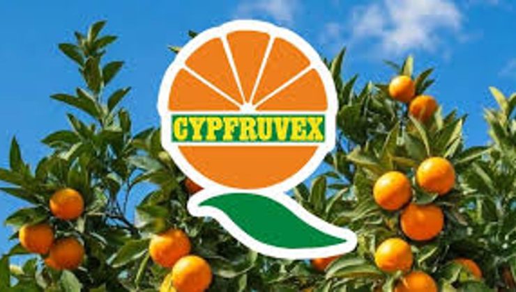 Cypfruvex Meysan Sıkma Tesisi pazartesi gününden itibaren başvuru kabul edecek