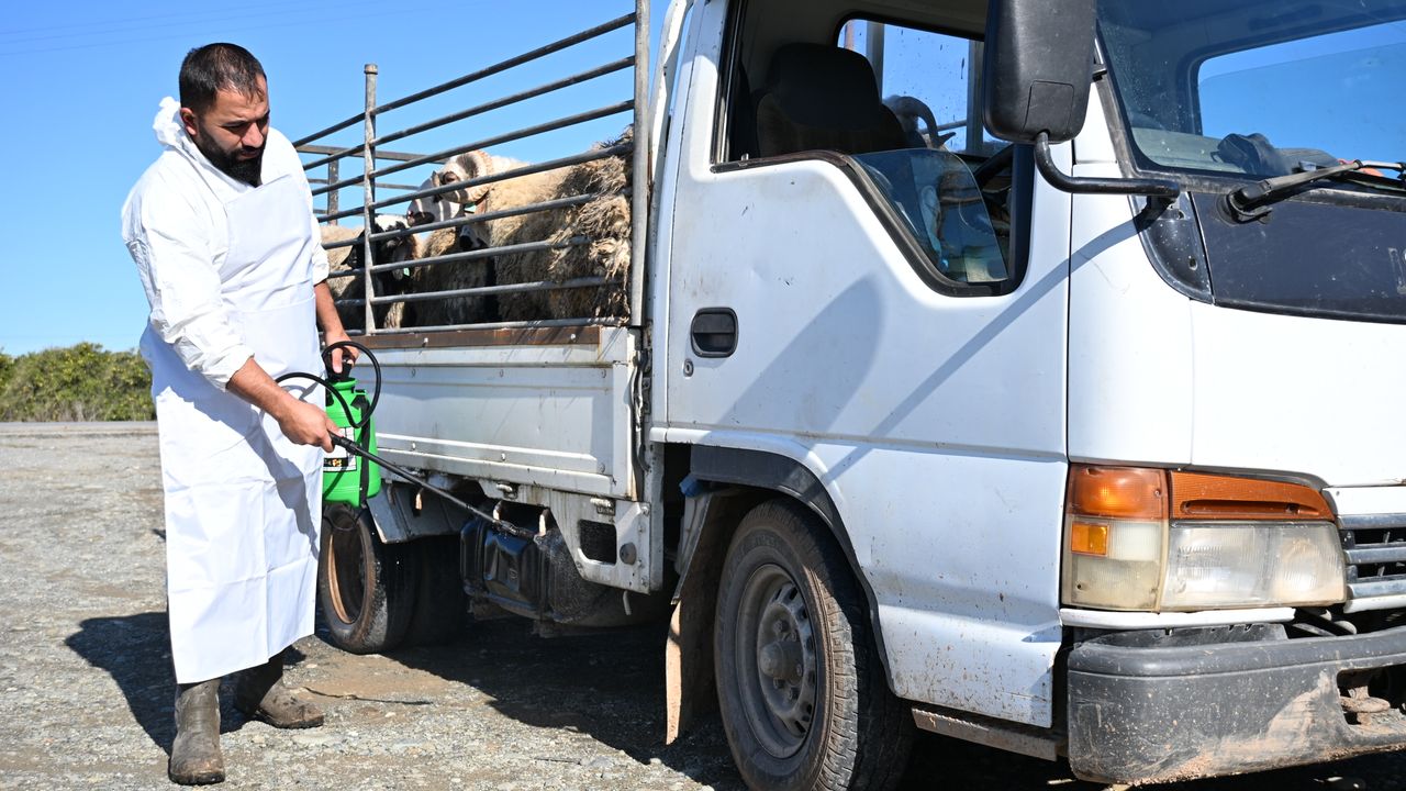 Belediyelerde şap alarmı