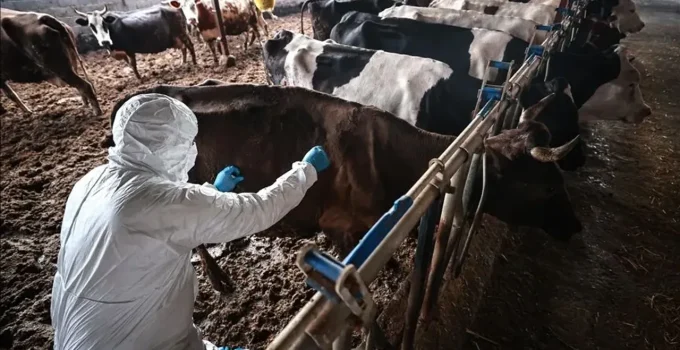 Şap hastalığı için Avrupa’dan uzmanlar geldi