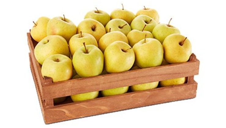 Dört ithal üründe limit üstü bitki koruma