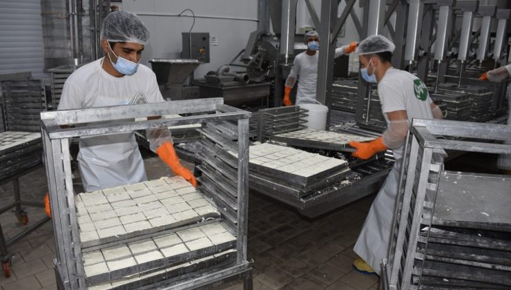 Hellim ihracatındaki engel kalkıyor