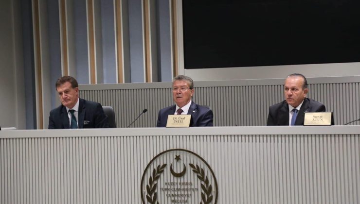 Hayat pahalılığı düzenlemesi komiteye geri çekildi