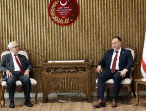 “Geçmişin karanlık sayfalarını yüceltme çabası”