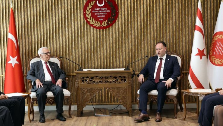 “Geçmişin karanlık sayfalarını yüceltme çabası”