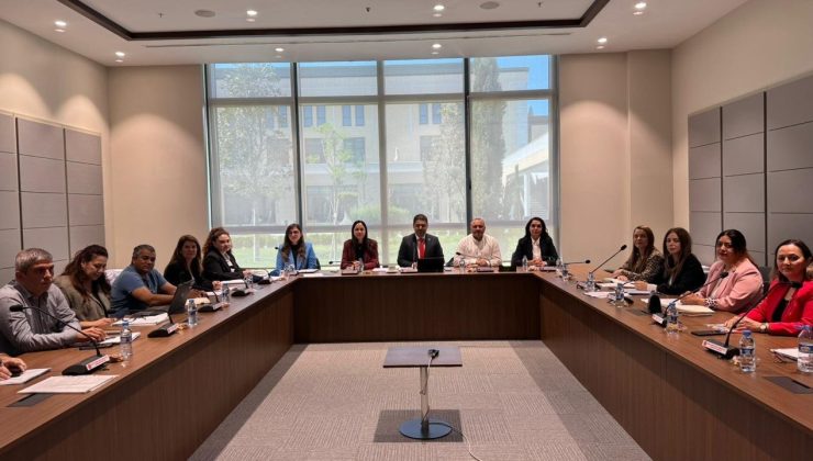 AB Uyum Yasa Tasarılarını Görüşmek Üzere Oluşturulan Geçici ve Özel Komite bugün toplandı