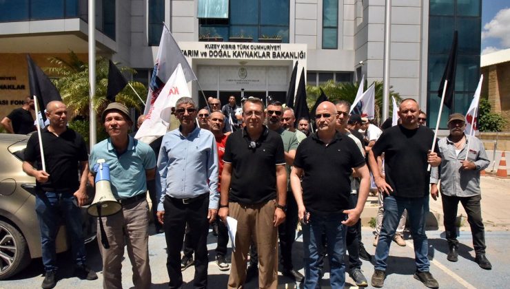 KTEZO ile Kasaplar Birliği’nden eylem