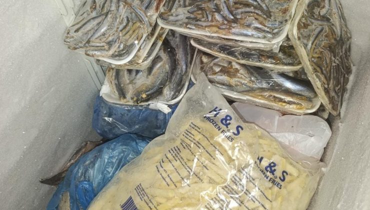 Tüketime uygun olmayan 16 kg balık imha edildi
