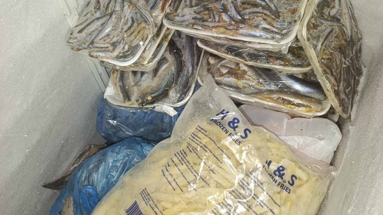 16 kilo balık imha edildi