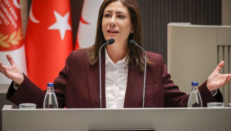 “Gazetecilik, suç haline gelecek”