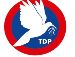 TDP: “Hemşirelerin gerçek politikalarla desteklenmesi gerek”