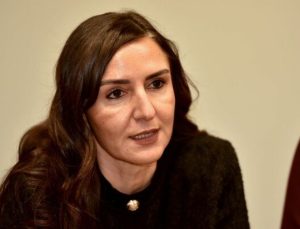 “Ülkeye girişlerde ne tür önlemler alınacak?”