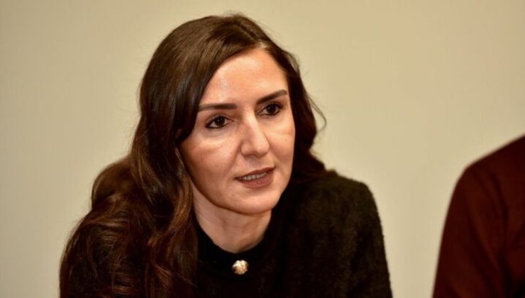 “Ülkeye girişlerde ne tür önlemler alınacak?”