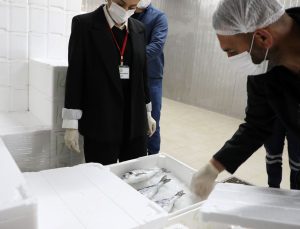 775 ürün müsadere edildi